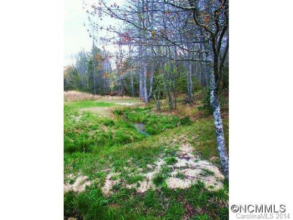 0 Turning Leaf Lane - Photo 9