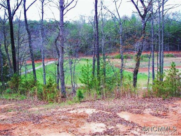 0 Turning Leaf Lane - Photo 10