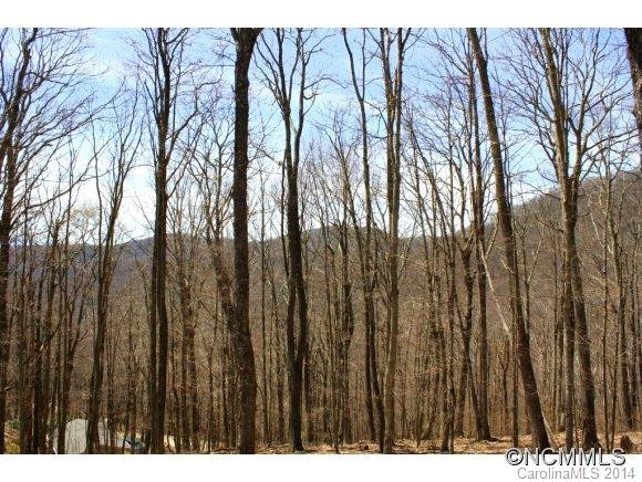 123 Hampton Gap Rd - Photo 13
