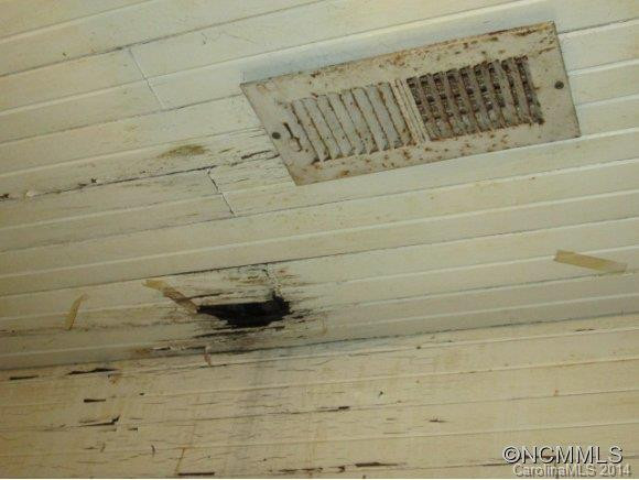 1 Paint Fork Rd - Photo 6