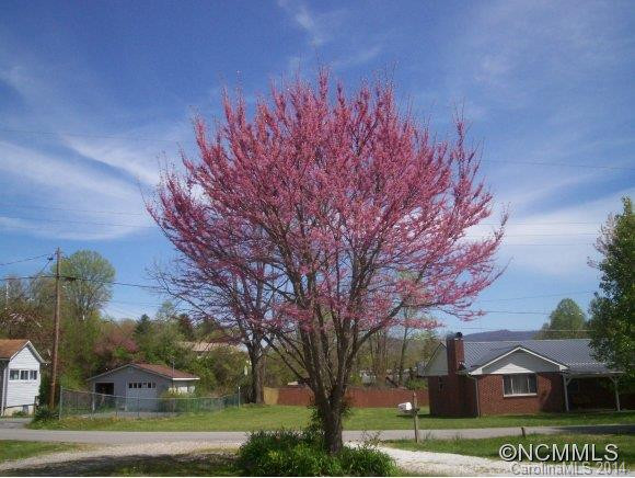 145 Burrell Avenue - Photo 4
