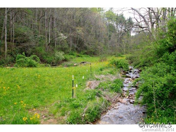 255 Dicks Trail - Photo 6