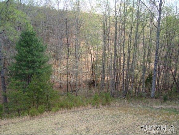 455 Turning Leaf Lane - Photo 11