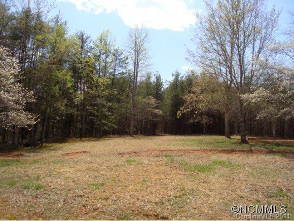 455 Turning Leaf Lane - Photo 13