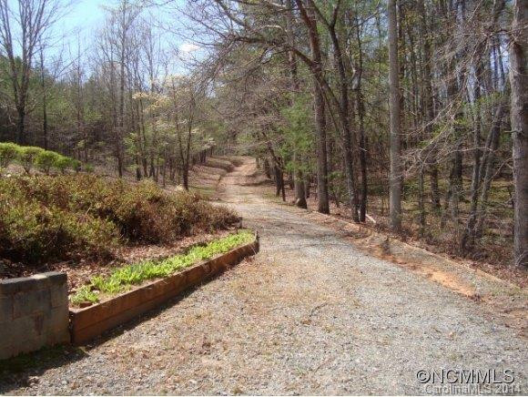 455 Turning Leaf Lane - Photo 16