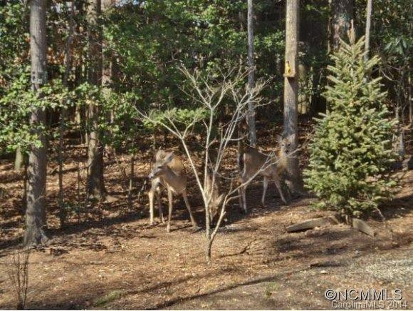 200 W SUNSET RIDGE DRIVE - Photo 19