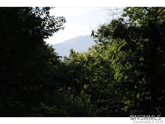 40 Mintz Lane - Photo 3