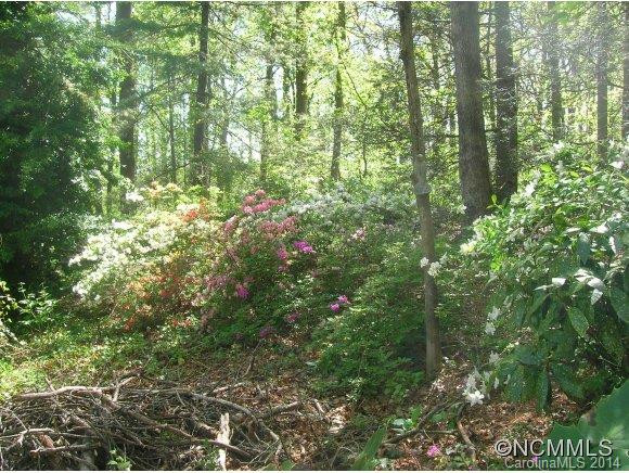 119 Loop Road - Photo 7