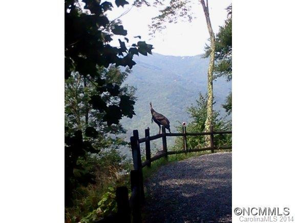720 Robin Roost - Photo 24