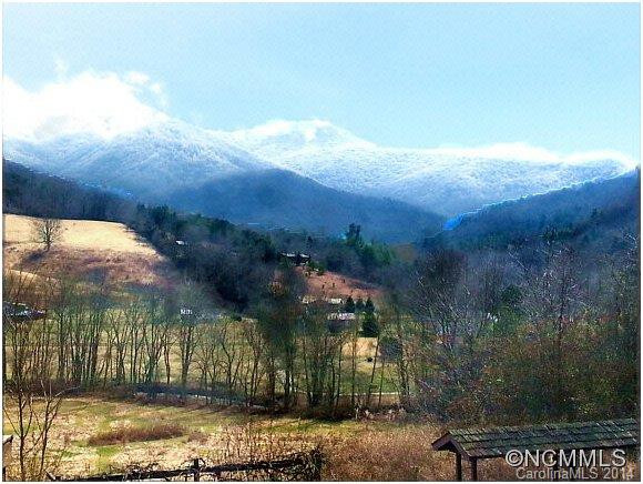 833 Reems Creek Road - Photo 4