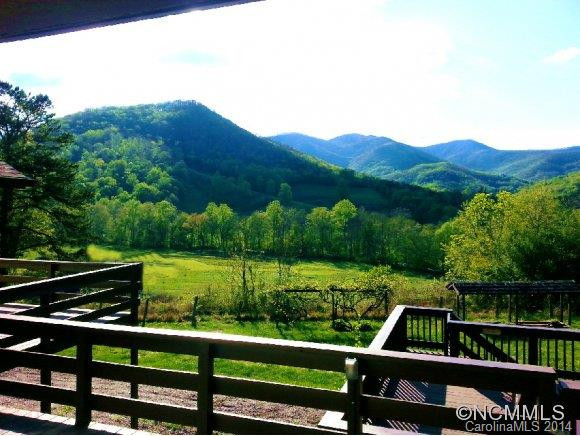 833 Reems Creek Road - Photo 6