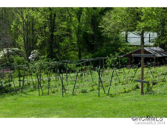14 Wildfire Lane - Photo 13