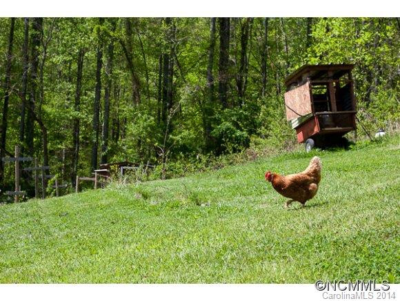 14 Wildfire Lane - Photo 16