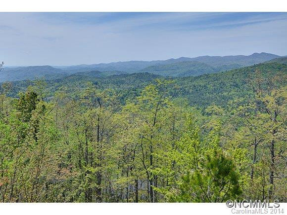 218 Ruffed Grouse Lane - Photo 10