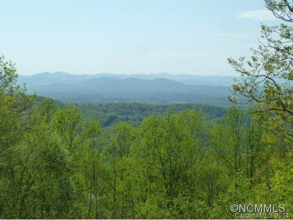 201 Cedar Mountain - Photo 13