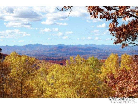 201 Cedar Mountain - Photo 16