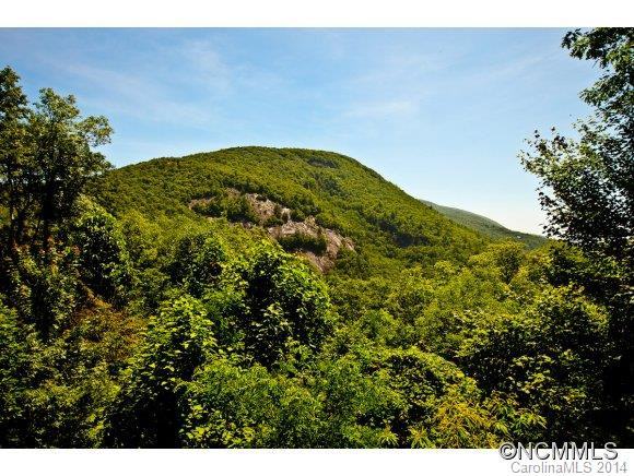 30 Dobson Mountain Road - Photo 4