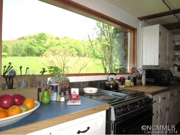 255 Potato Branch Road - Photo 8