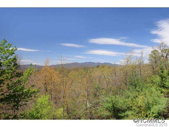 1641 High Rock Acres Drive - Photo 3