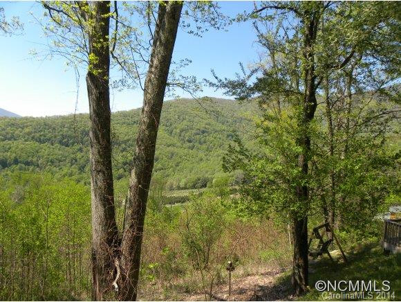 599 Raven Rock Ridge - Photo 5