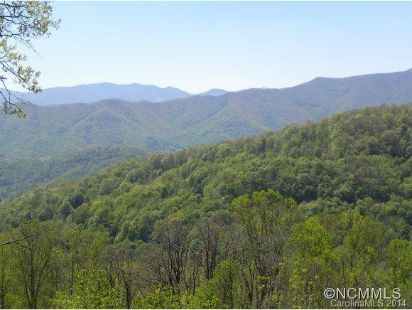 599 Raven Rock Ridge - Photo 6