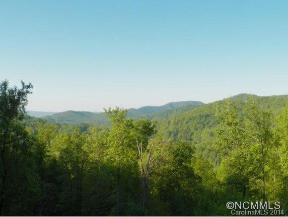 54 CEDAR DR-lt272 HIGH VISTA - Photo 2