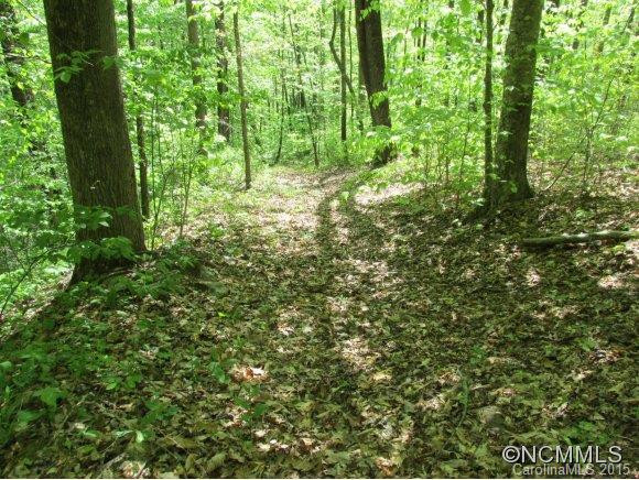 438 Gap Branch - Photo 19