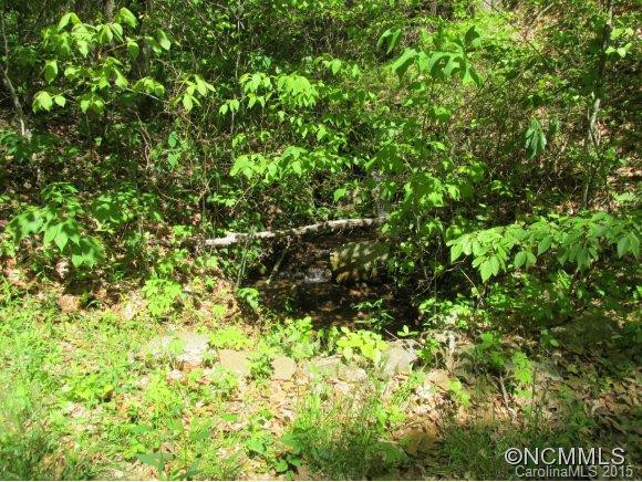 438 Gap Branch - Photo 21