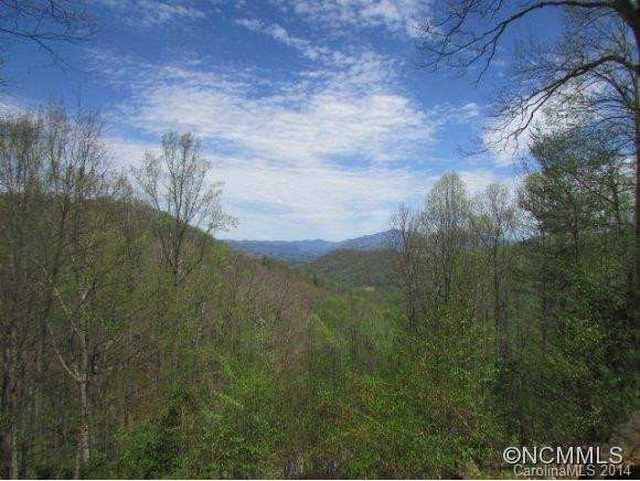 1035 Moonshine Mountain Road - Photo 10