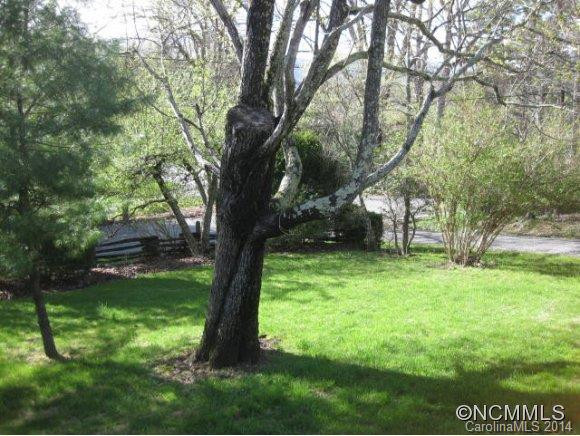 801 Lakey Gap Road - Photo 14