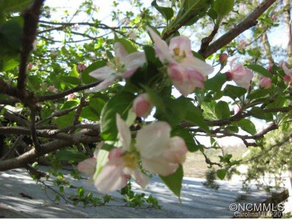 801 Lakey Gap Road - Photo 21