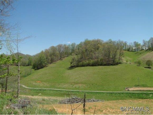 400 Calla Lily Lane - Photo 6