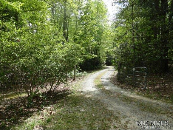 125 Pine Hill Dr. - Photo 2