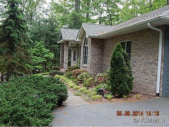 213 Camellia