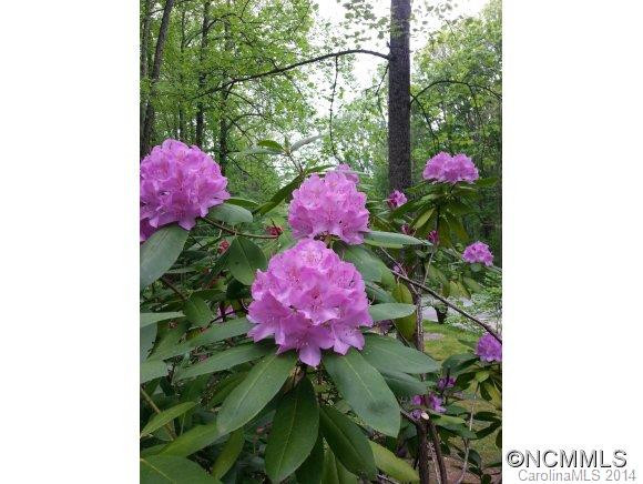 31 Wilderness Road - Photo 4