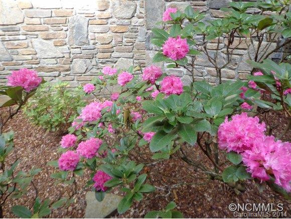 114 Live Oak Lane - Photo 2