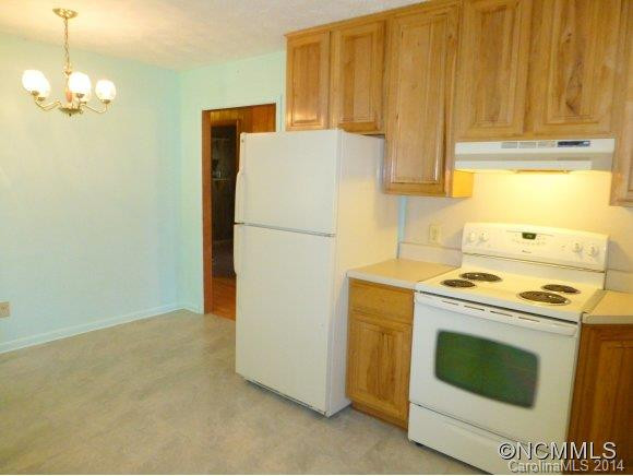 243 OLD MARS HILL HWY - Photo 8