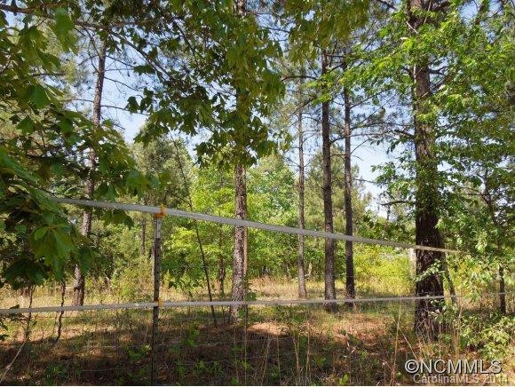 2338 Whiteside Rd - Photo 2