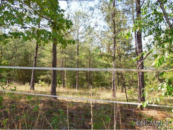2338 Whiteside Rd - Photo 22