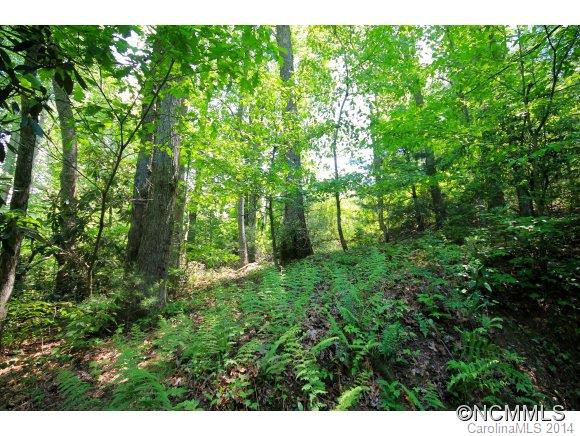 638 Averys Creek Rd - Photo 4