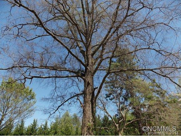 2544 Old Fort Sugar Hill Rd. - Photo 17