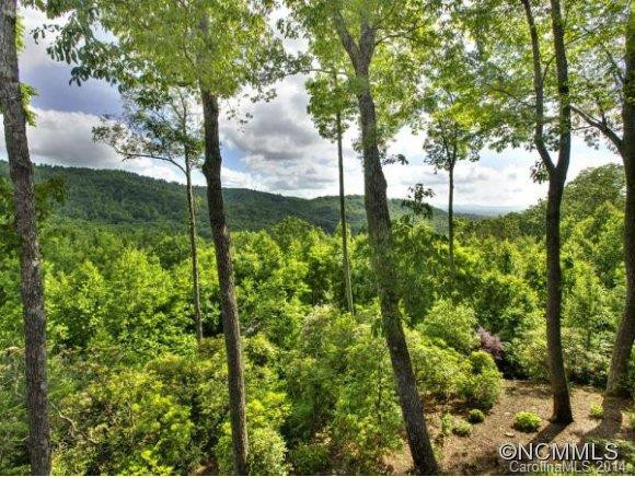 12 Spring Ridge Lane - Photo 15