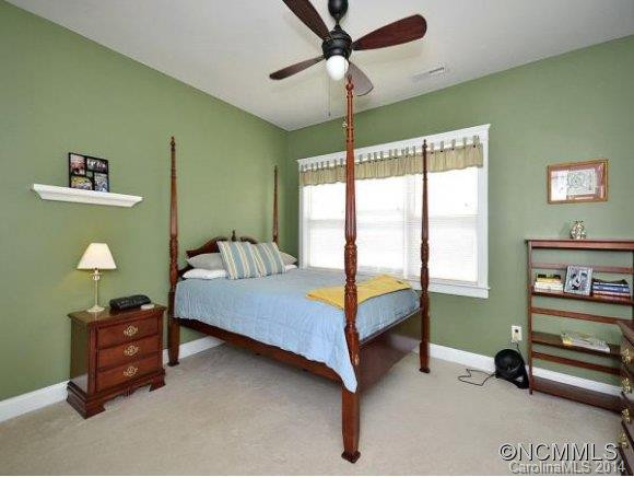 117 CAROLINA BLUE BIRD LOOP - Photo 10