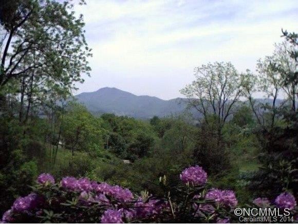 195 BLACK HAWK TRAIL - Photo 3