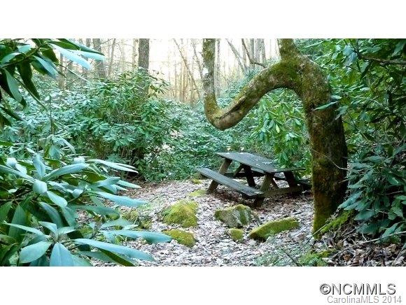  - Photo 16