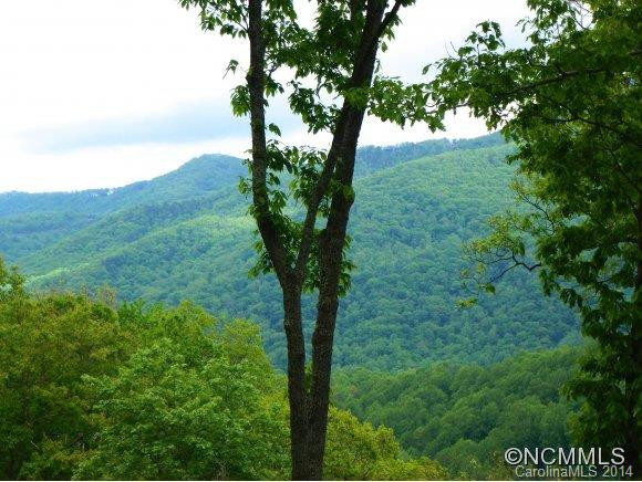 243 OLD STILL ROAD - Photo 2
