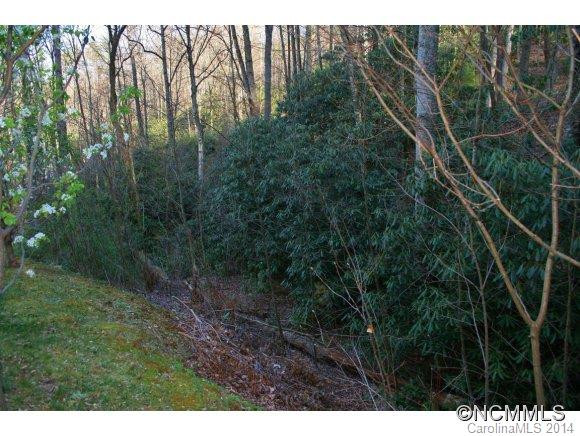 10 Rex Allen Lane - Photo 16