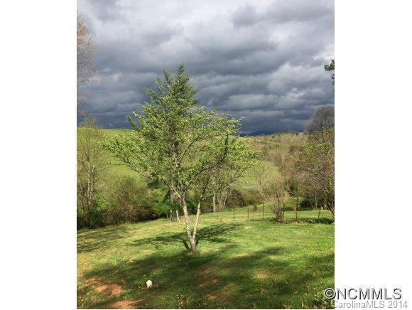 2709 Bear Creek Road - Photo 22