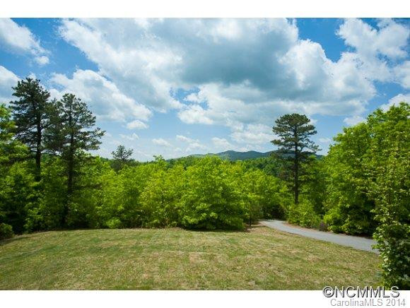 71 Burnt Ridge Trail - Photo 3