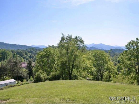 95 DANDELION DRIVE - Photo 12